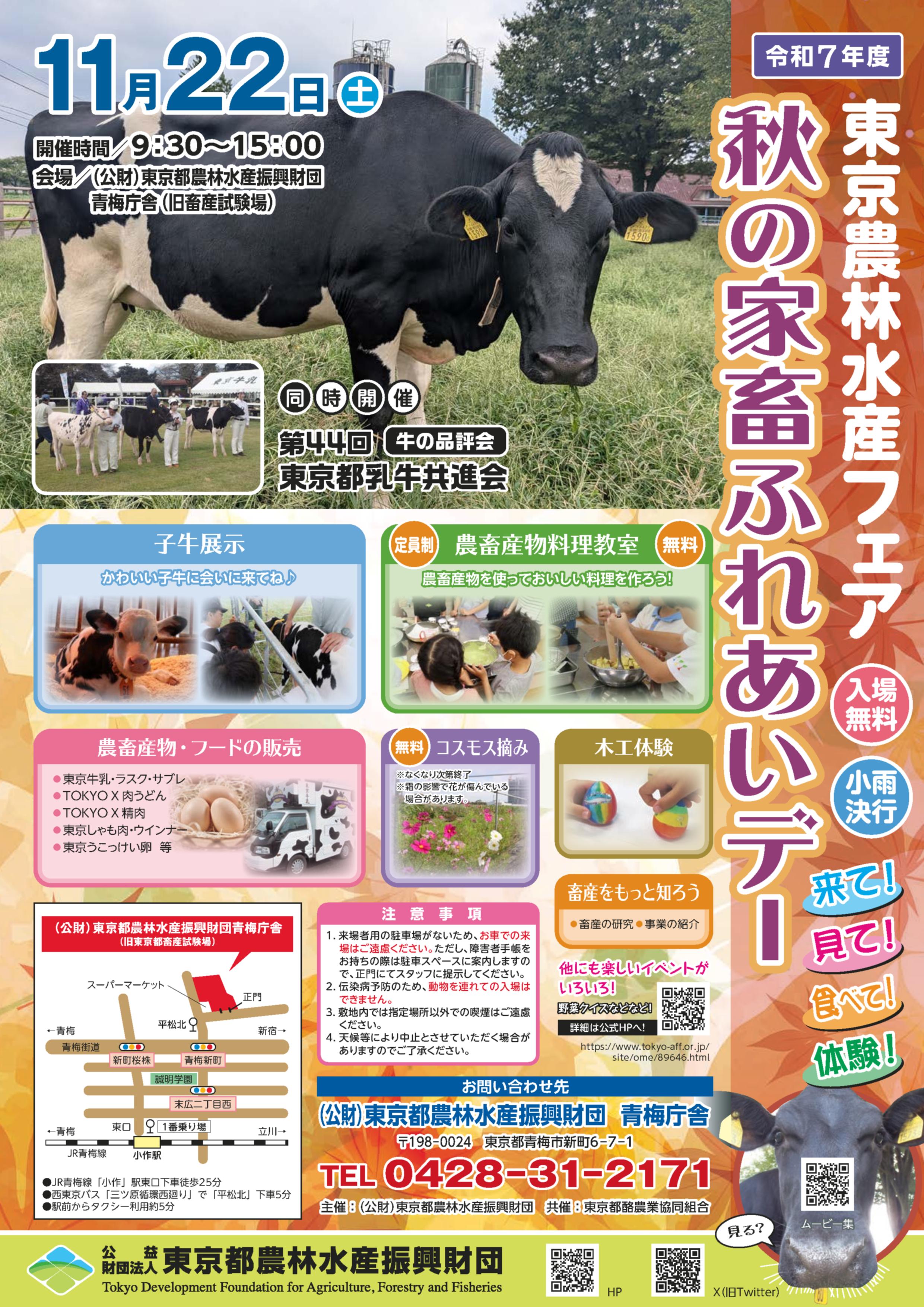イベントチラシ画像