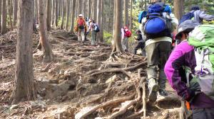 陣馬山へ向かう登山道
