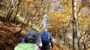 紅葉の中を歩く