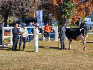 東京都乳牛共進会賞状授与の写真