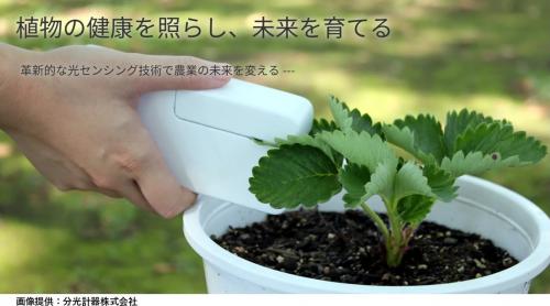 分光計器株式会社ROS(活性酸素)計測マーカー