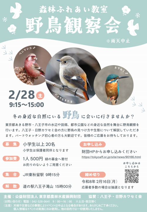 告知用チラシ（R7野鳥観察会）