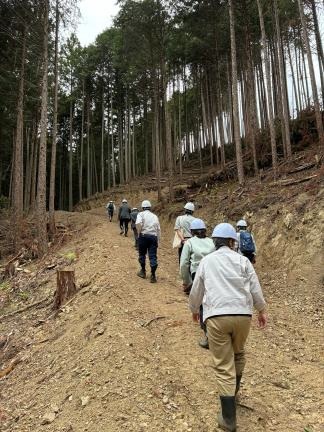 伐採現場までの斜面