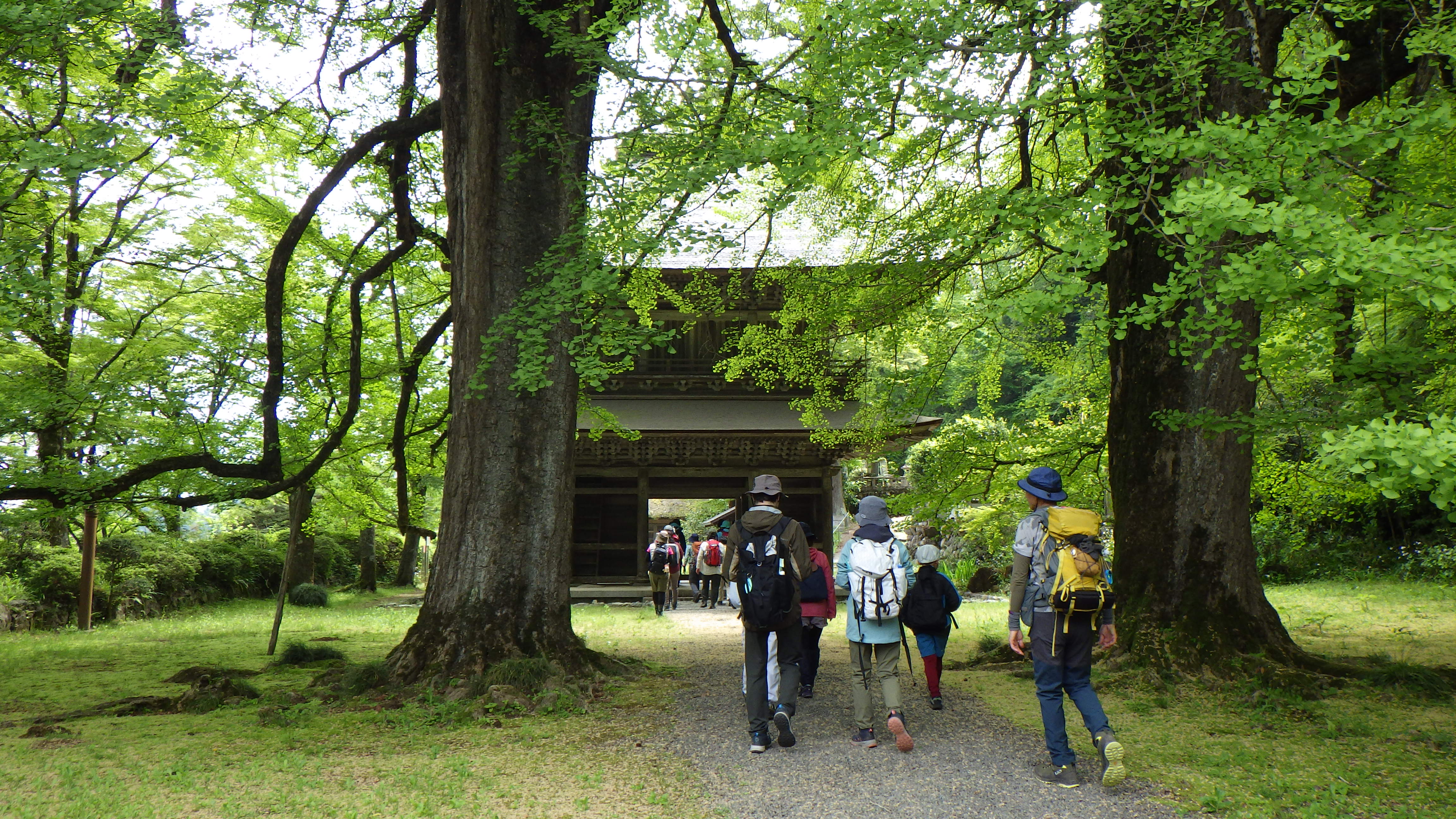 広徳寺