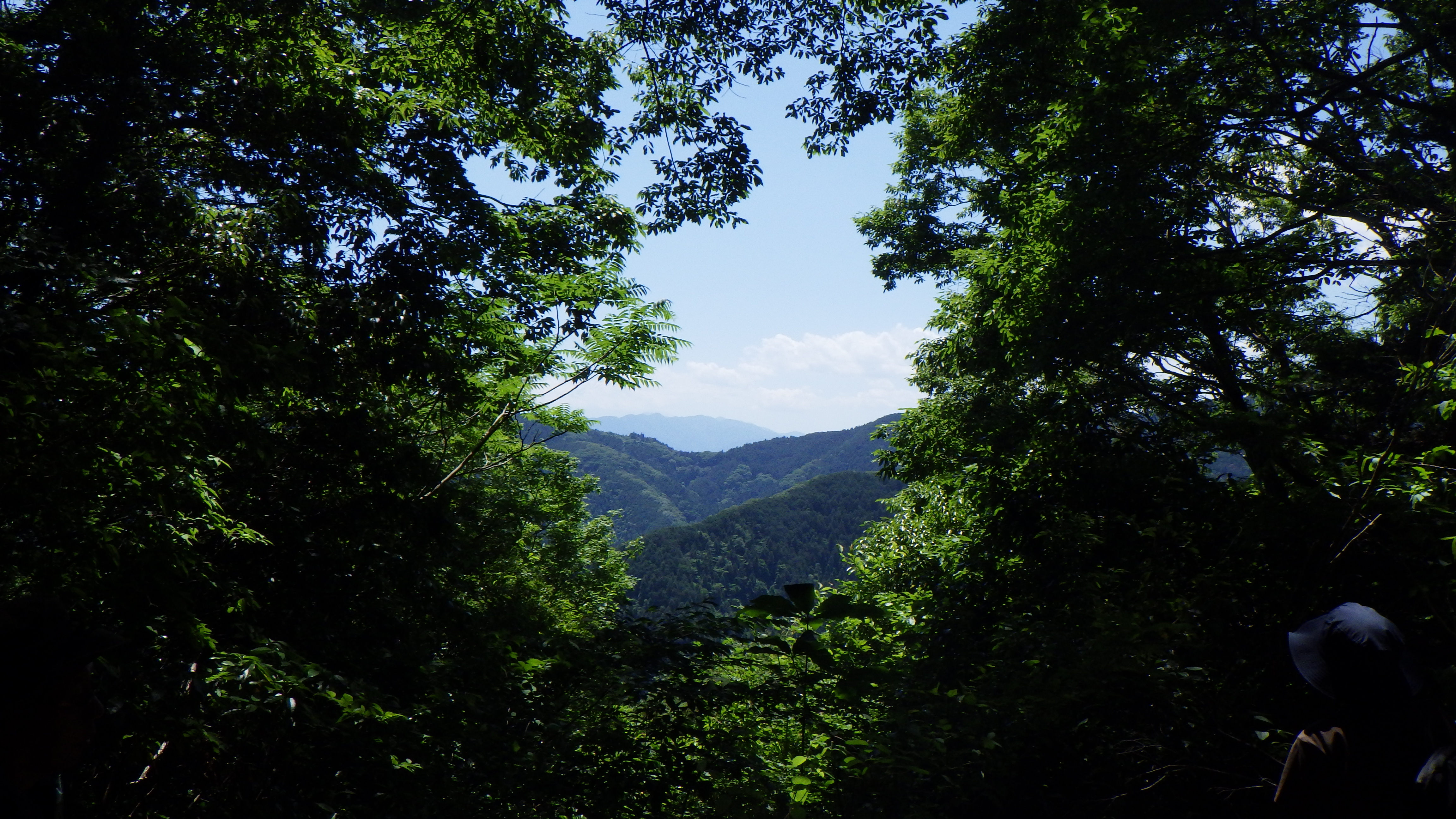 富士見台からの眺望