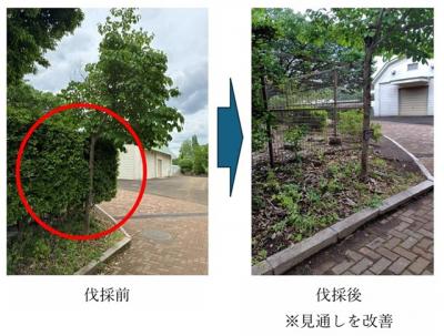 見通し