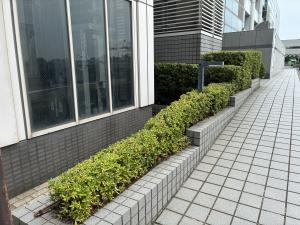 建物周り