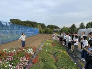 視察研修の様子