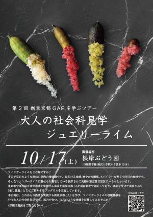 第2回GAP消費者ツアーチラシ表