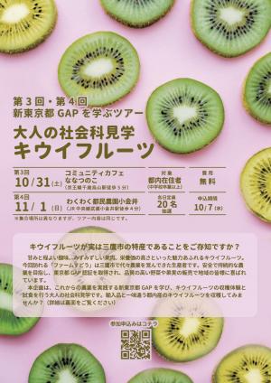 第3回第4回GAP消費者ﾂｱｰﾁﾗｼ（キウイフルーツ）表