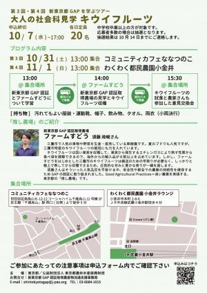 第3回第4回GAP消費者ﾂｱｰﾁﾗｼ（キウイフルーツ）表