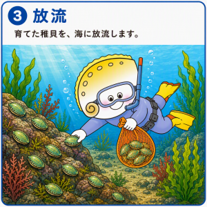 放流