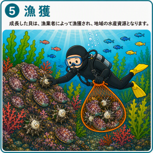 漁獲
