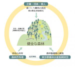 「共生・協働の森」による森林整備イメージ図
