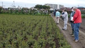 圃場の様子3