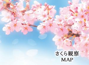 さくらMAP