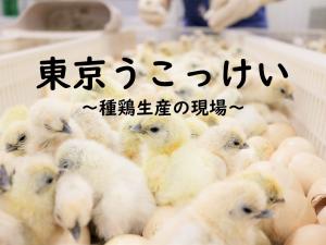 動画サムネイル