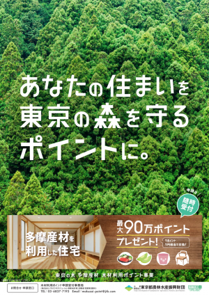 チラシオモテ
