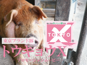 トウキョウ