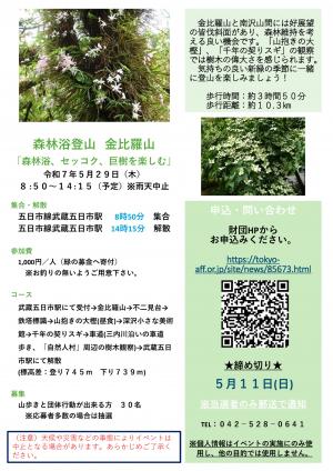 金比羅山　告知用チラシ