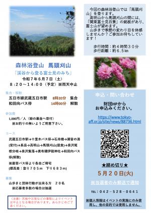 募集チラシ