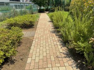 公園の植栽事例１