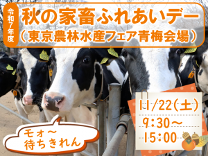 令和7年度秋の家畜ふれあいデーサムネイル画像（柵越しに牛が集まっている画像。１頭にフキダシで「もお～待ちきれん」としゃべっている風）