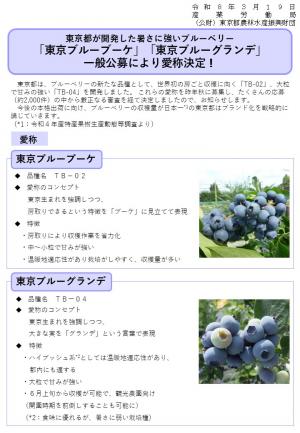 ブルーベリー愛称の由来