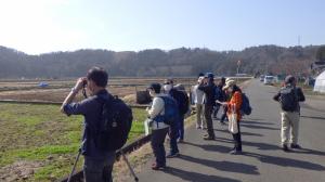 田畑でバードウォッチング