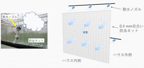 簡易な資材を使用した温室の暑熱対策