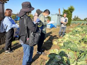 吉岡さんのキャベツ