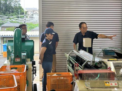 出荷調整機械は一人農業の味方という話
