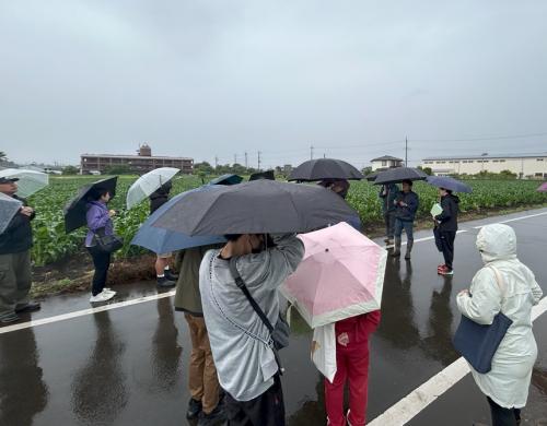 田中さんのトウモロコシ畑
