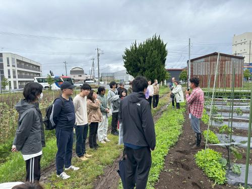 林さんの露地の畑