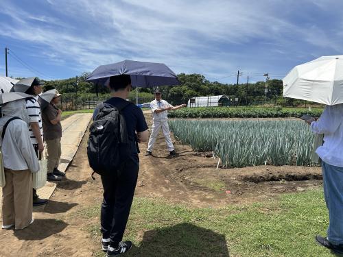 研修農場ネギの見学