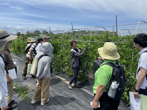 パッションほ場