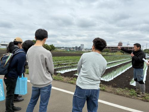 田中さんの葉ネギ畑