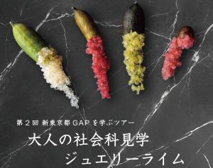 消費者ツアーイメージ画像